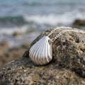 925 Sterling Silver Ribbed Scallop Shell Durable Coastal Pendant Necklace